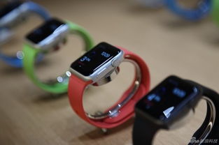 Apple Watch智能手表現場實拍 三大版本魅力實窺